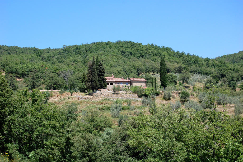 Allegro Agriturismo Argiano Arezzo Exterior photo